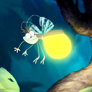 Princess And The Frog, The Picture 16