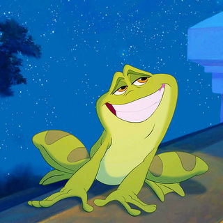 Princess And The Frog, The Picture 32