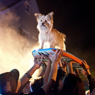 Project X Picture 44