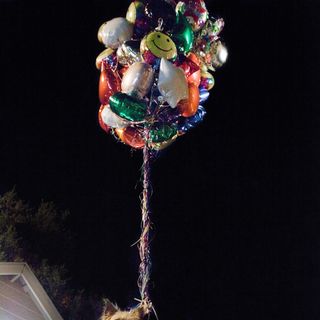 Project X Picture 33