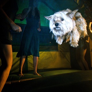 Project X Picture 7