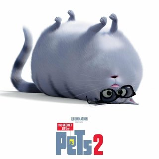 Poster of Universal Pictures' The Secret Life of Pets 2 (2019)