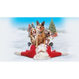 Pups Alone Picture 1