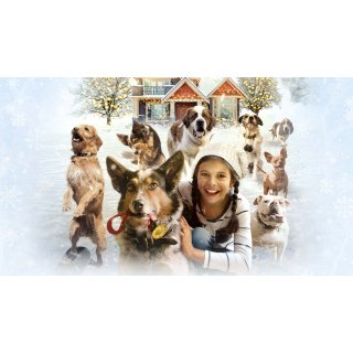 Pups Alone Picture 8