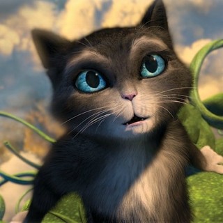 Puss In Boots Picture 22