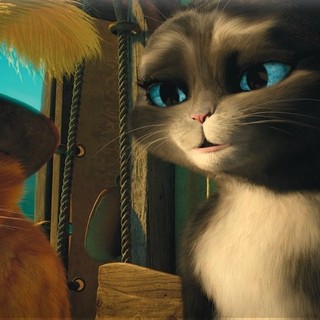 Puss In Boots Picture 23