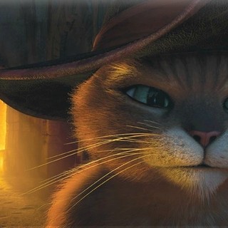 Puss In Boots Picture 24
