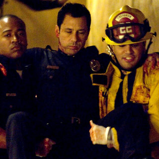 Quarantine Picture 8