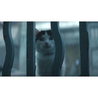 Quiet Place: Day One, A (2024)