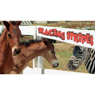 Racing Stripes (2005)