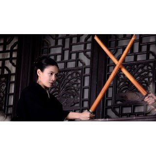 Railroad Tigers (2017)