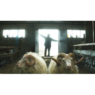Rams (2016)