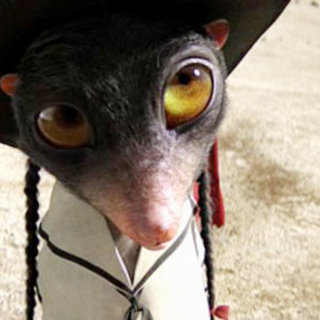 Rango Picture 4