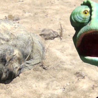 Rango Picture 17