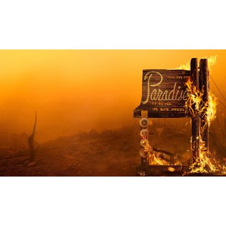 Rebuilding Paradise (2020)