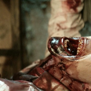 [Rec] 3 Genesis Picture 8