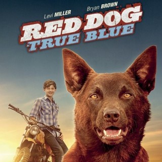 Poster of Lionsgate Films' Red Dog: True Blue (2018)