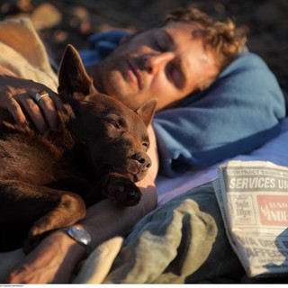 Josh Lucas stars as John in ARC Entertainment's Red Dog (2012)