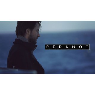 Red Knot (2014)