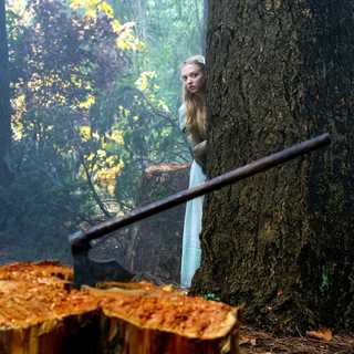 Red Riding Hood Picture 5
