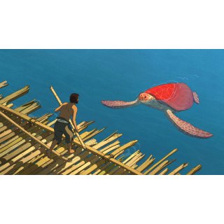 Red Turtle, The Picture 1