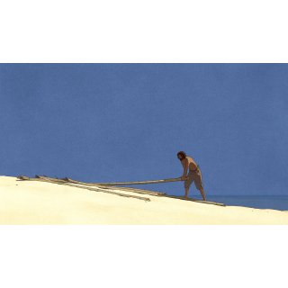 Red Turtle, The Picture 2