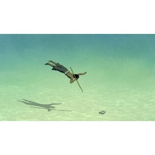 Red Turtle, The Picture 4