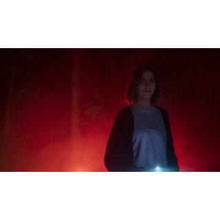Rental, The Picture 10
