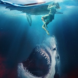 Requin, The Picture 4