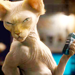 Cats & Dogs: The Revenge Of Kitty Galore Picture 2