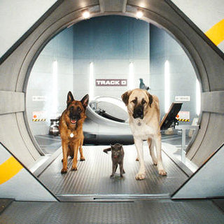 Cats & Dogs: The Revenge Of Kitty Galore Picture 7