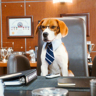 Cats & Dogs: The Revenge Of Kitty Galore Picture 12