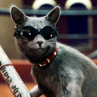 Cats & Dogs: The Revenge Of Kitty Galore Picture 13