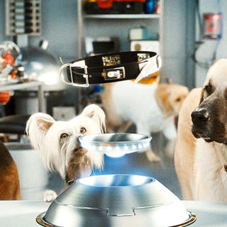 Cats & Dogs: The Revenge Of Kitty Galore Picture 25