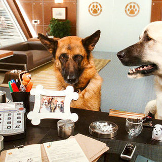 Cats & Dogs: The Revenge Of Kitty Galore Picture 26