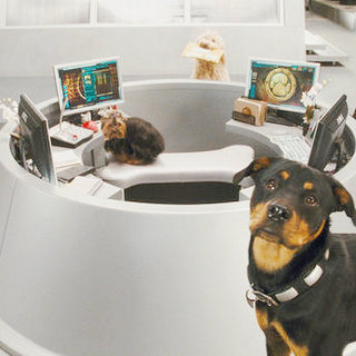 Cats & Dogs: The Revenge Of Kitty Galore Picture 28