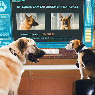 Cats & Dogs: The Revenge Of Kitty Galore Picture 32