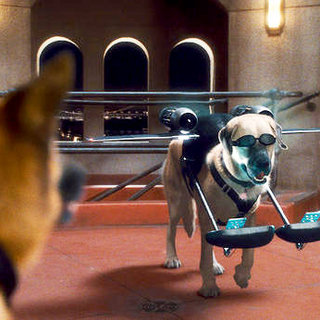 Cats & Dogs: The Revenge Of Kitty Galore Picture 35