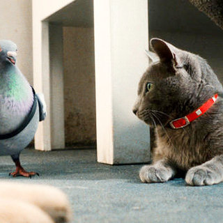 Cats & Dogs: The Revenge Of Kitty Galore Picture 36