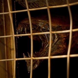 Riddick Picture 9