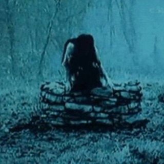 The Ring vs. the Grudge Picture 1