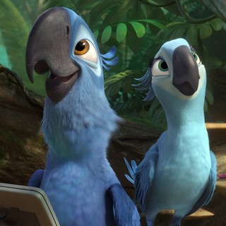 Blu, Jewel and Carla from 20th Century Fox's Rio 2 (2014)