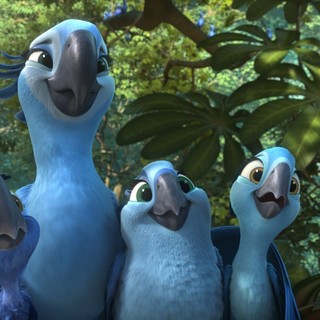 Tiago, Jewel, Carla and Bia from 20th Century Fox's Rio 2 (2014)