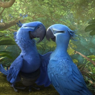 Blu and Jewel from 20th Century Fox's Rio 2 (2014)