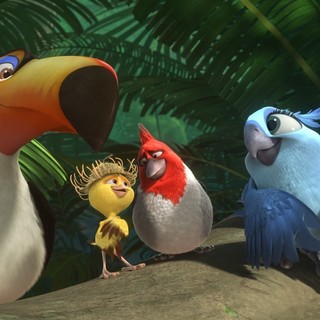 Rio 2 Picture 23