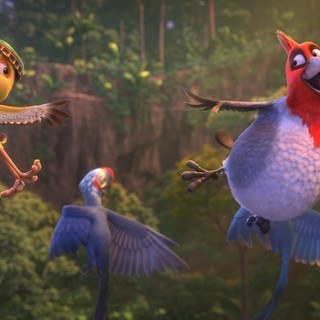Rio 2 Picture 25