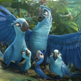 Rio 2 Picture 26
