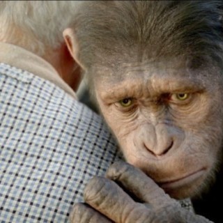 Rise Of The Planet Of The Apes Picture 42