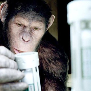 Rise Of The Planet Of The Apes Picture 38