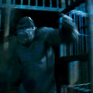 A scene from 20th Century Fox's Rise of the Planet of the Apes (2011)